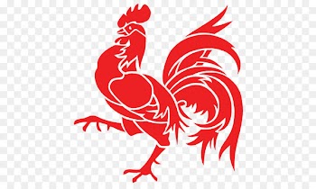 French Community of Belgium Namur Flag of Wallonia France - rooster 