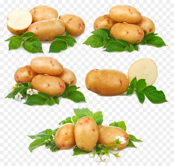 French fries Sweet potato Vegetable - HD potatoes 