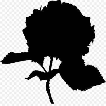 French hydrangea Portable Network Graphics Clip art GIF Flowering plant -  