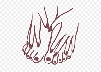 French manicure Nail Pedicure Hand - nail 