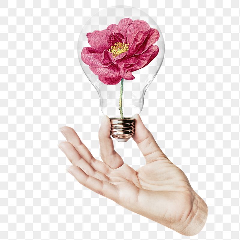French rose png flower sticker, | Free PNG - rawpixel