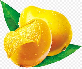 Fresca Citron Lemon Fruit Tangelo - Green mango on green leaves 