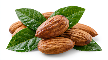 Fresh Almond Nuts with Green Leaves Isolated on White