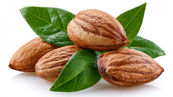 Fresh Almond Nuts with Green Leaves Isolated on White