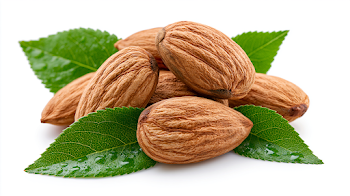 Fresh Almond Nuts with Green Leaves Isolated on White