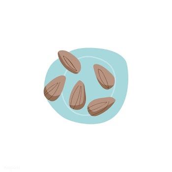 Fresh almonds healthy ingredient vector | Free stock vector - 516612