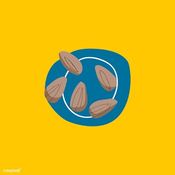 Fresh almonds healthy ingredient vector | Free stock vector - 516623