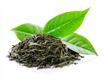 Fresh and Dried Green Tea Leaves on White Background