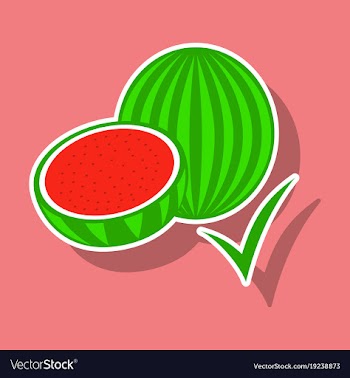 Fresh and juicy whole watermelons and slices vector image