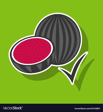 Fresh and juicy whole watermelons and slices vector image