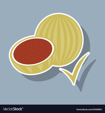Fresh and juicy whole watermelons and slices vector image