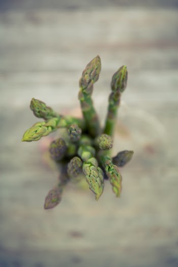 Fresh asparagus close up 