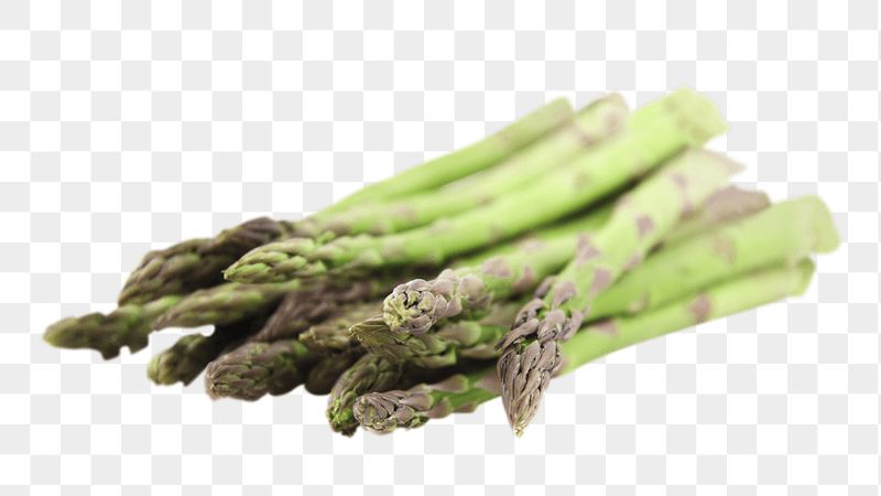 Fresh asparagus png sticker, transparent | Free PNG - rawpixel