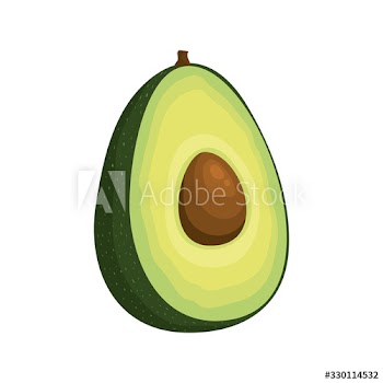 fresh avocado vegetable design
