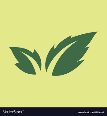 Fresh basil leaves icon flat of basil leaves icon vector image