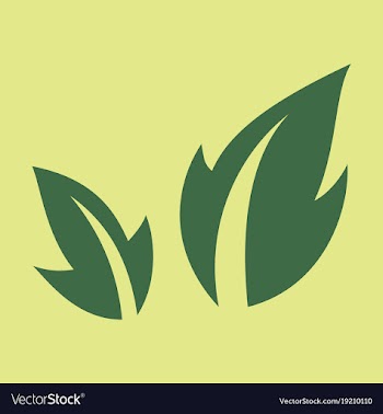 Fresh basil leaves icon flat of basil leaves icon vector image