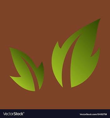 Fresh basil leaves icon flat of basil leaves icon vector image
