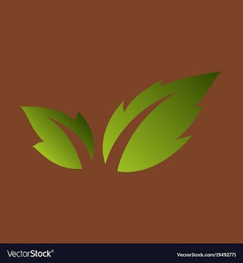 Fresh basil leaves icon flat of basil leaves icon vector image