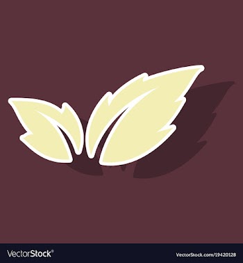 Fresh basil leaves icon sticker of basil leaves vector image