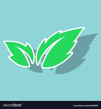 Fresh basil leaves icon sticker of basil leaves vector image