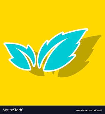 Fresh basil leaves icon sticker of basil leaves vector image