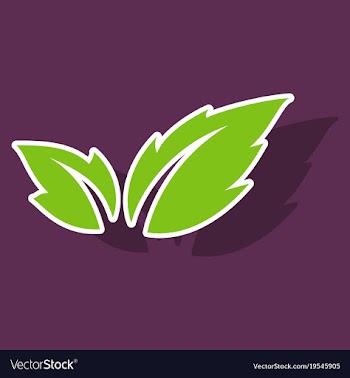 Fresh basil leaves icon sticker of basil leaves vector image