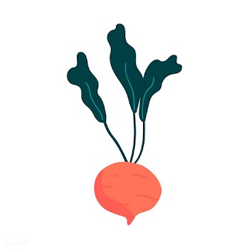 Fresh beet healthy ingredient vector | Free stock vector - 516535
