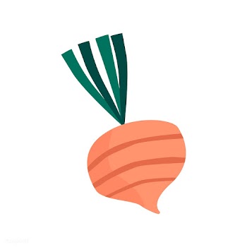 Fresh beet healthy ingredient vector | Free stock vector - 516565