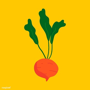 Fresh beet healthy ingredient vector | Free stock vector - 516579