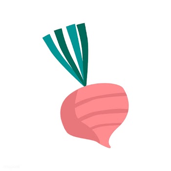 Fresh beet healthy ingredient vector | Free stock vector - 516586