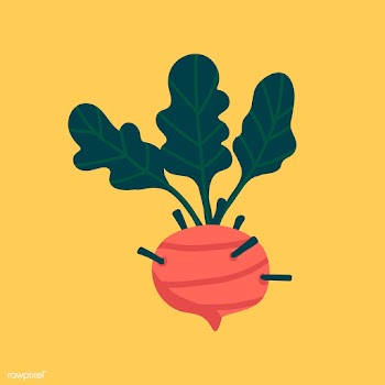 Fresh beetroot vegan movement vector | Free stock vector - 537987
