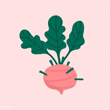 Fresh beetroot vegan movement vector | Free stock vector - 537993