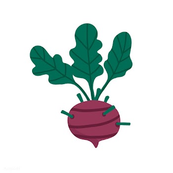 Fresh beetroot vegan movement vector | Free stock vector - 537995