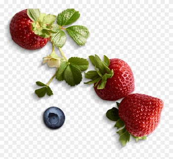 Fresh Berries - Food