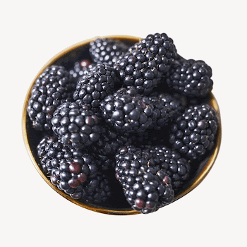 Fresh blackberries collage element psd | Free PSD - rawpixel