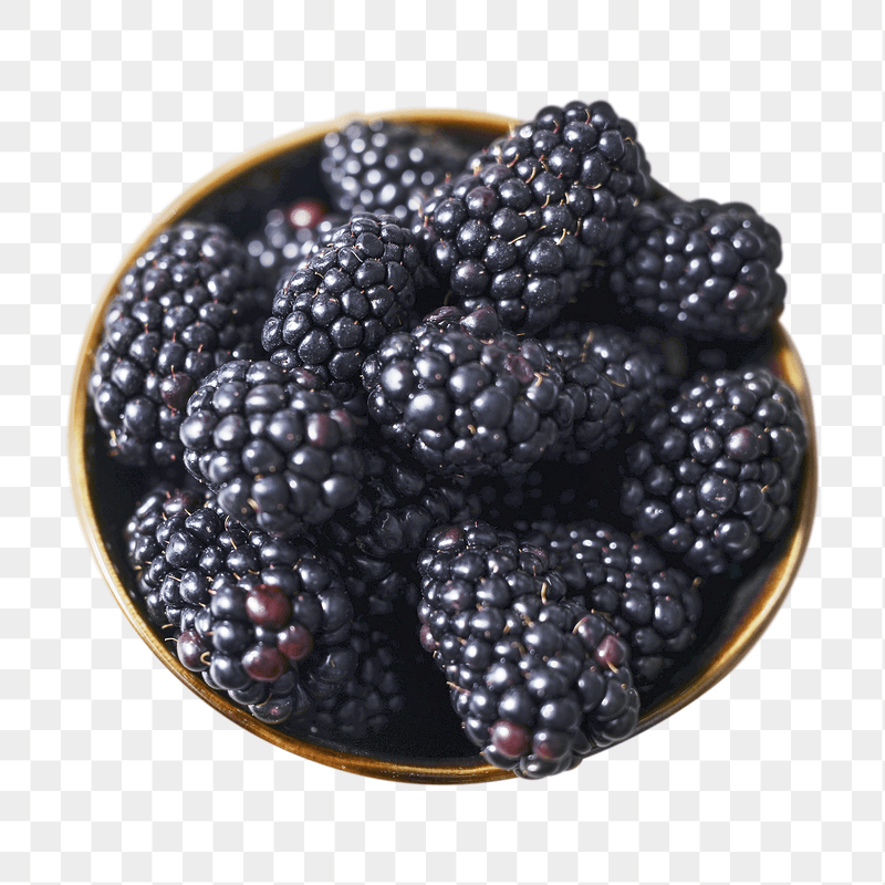 Fresh blackberries png sticker, transparent | Free PNG - rawpixel