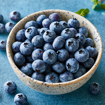 Fresh Blueberries in a Bowl