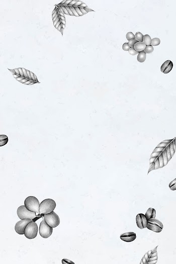 Fresh coffee bean background | Free stock vector - 1206658