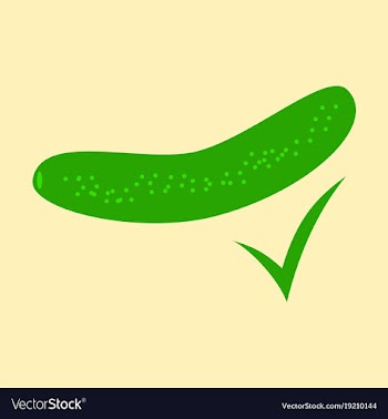 Fresh cucumber vegetable isolated flat icon vector image
