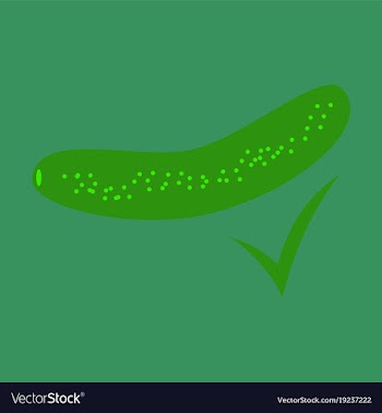 Fresh cucumber vegetable isolated flat icon vector image