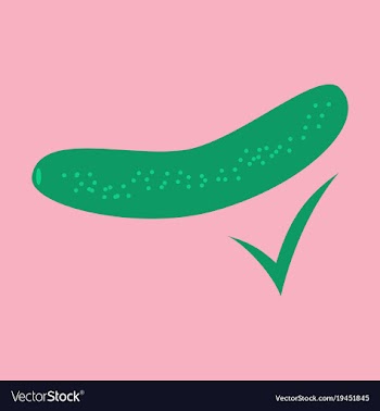 Fresh cucumber vegetable isolated flat icon vector image