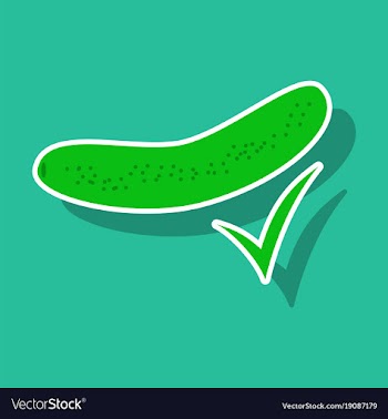 Fresh cucumber vegetable isolated sticker icon vector image