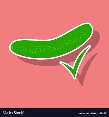 Fresh cucumber vegetable isolated sticker icon vector image