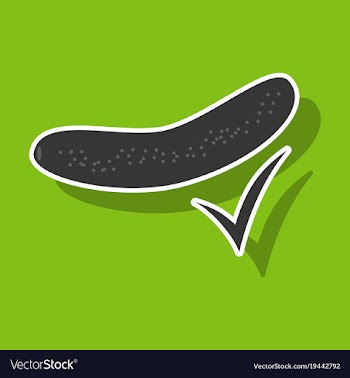 Fresh cucumber vegetable isolated sticker icon vector image