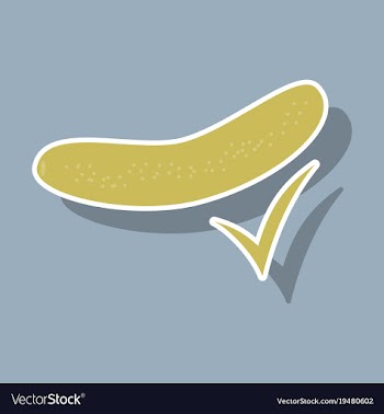 Fresh cucumber vegetable isolated sticker icon vector image