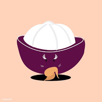 Fresh cut mangosteen cartoon character vector | Free stock vector - 538614