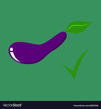 Fresh eggplant vegetable isolated icon eggplant vector image