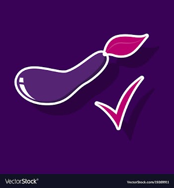 Fresh eggplant vegetable isolated icon eggplant vector image