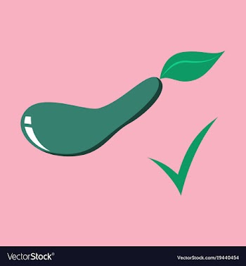 Fresh eggplant vegetable isolated icon eggplant vector image