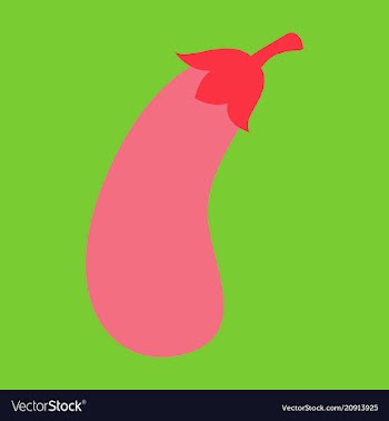 Fresh eggplant vegetable isolated icon eggplant vector image